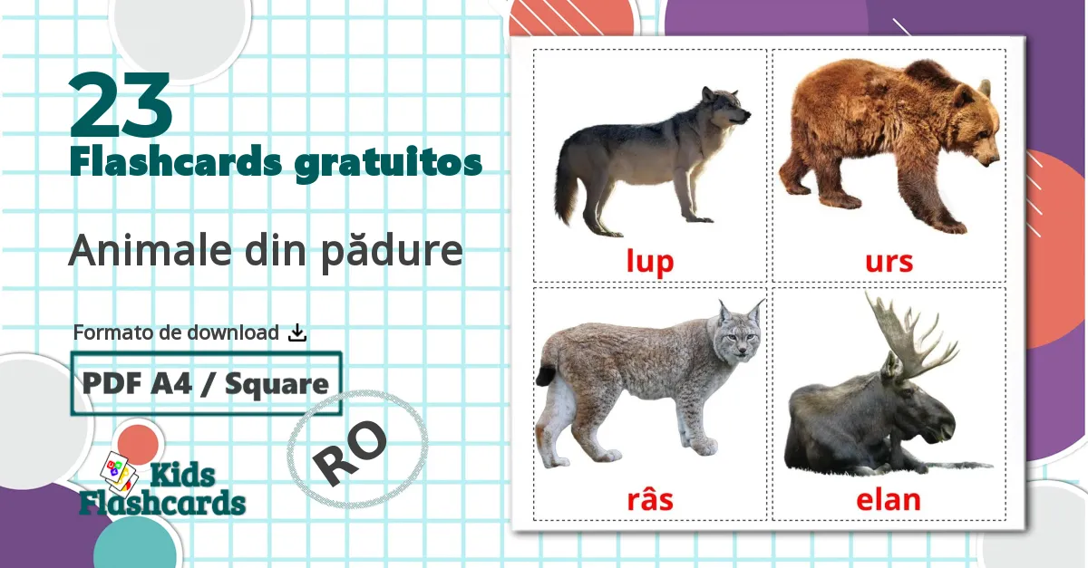 23 Flashcards de Animale din pădure