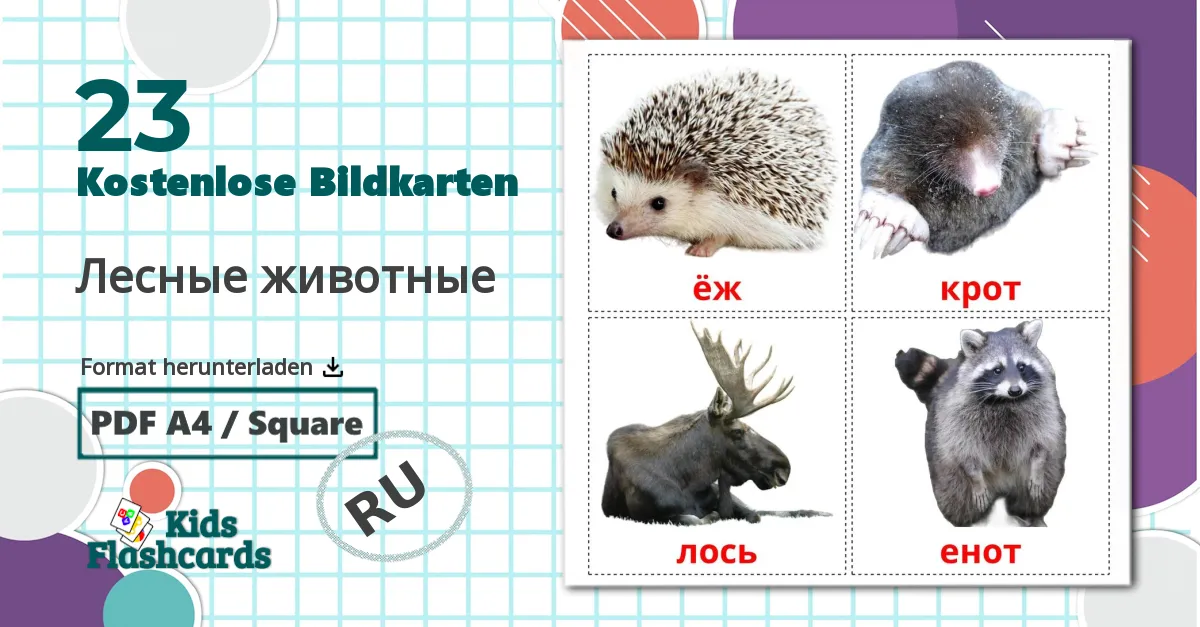 23 Bildkarten für Лесные животные