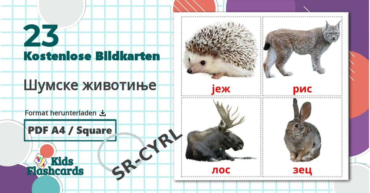 23 Bildkarten für Шумске животиње