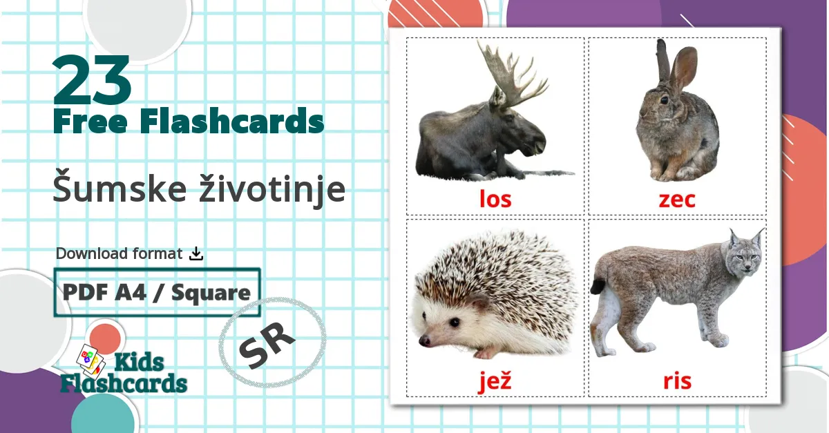 23 Šumske životinje flashcards