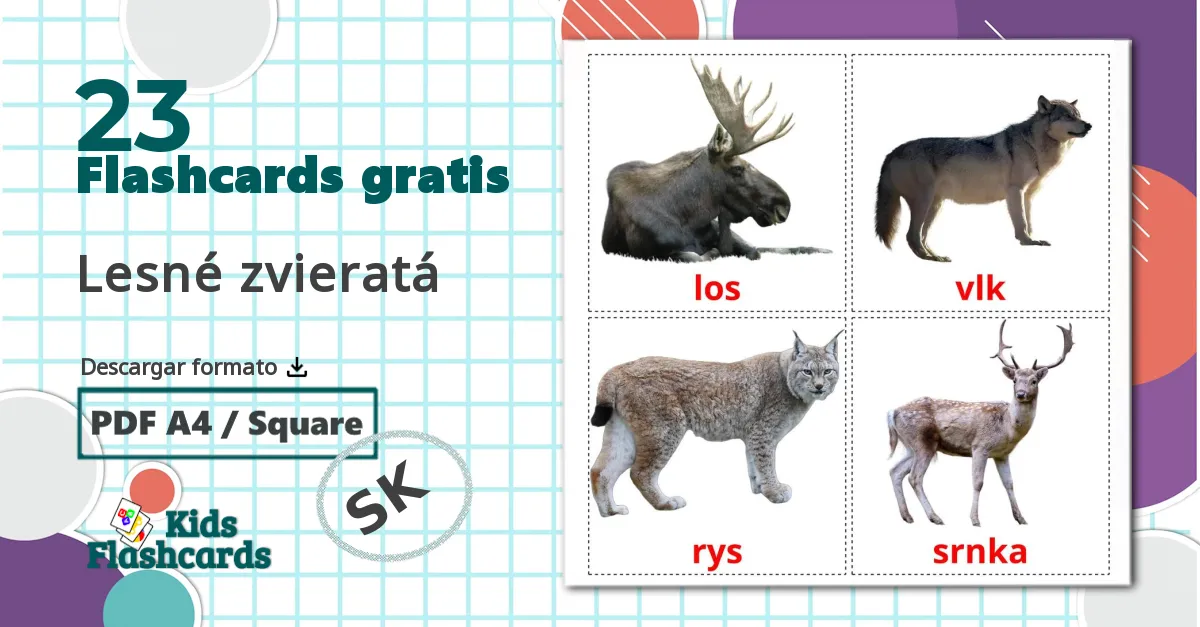 23 tarjetas didacticas de Lesné zvieratá