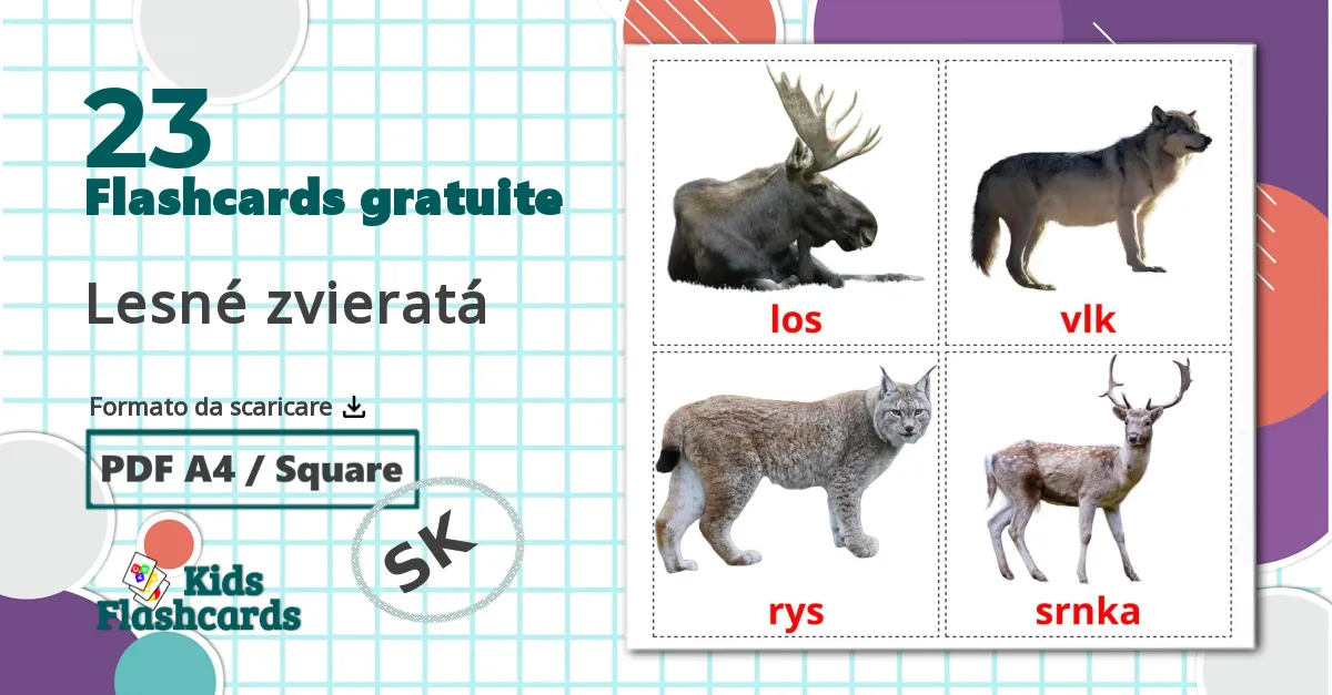 23 flashcards di Lesné zvieratá