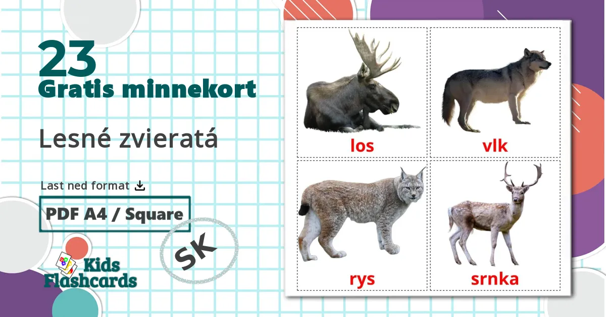 23 Lesné zvieratá bildekort