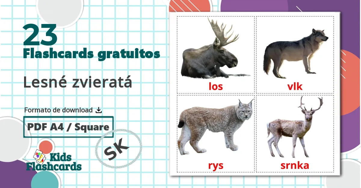 23 Flashcards de Lesné zvieratá