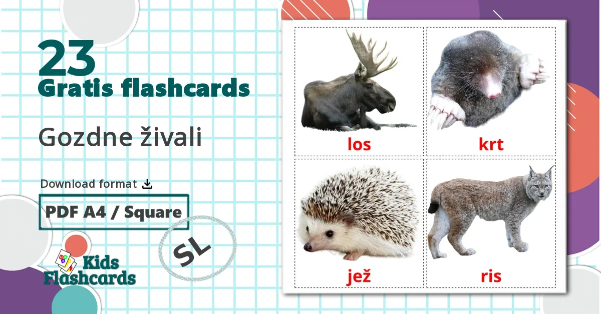 23 Gozdne živali billedkort for børn