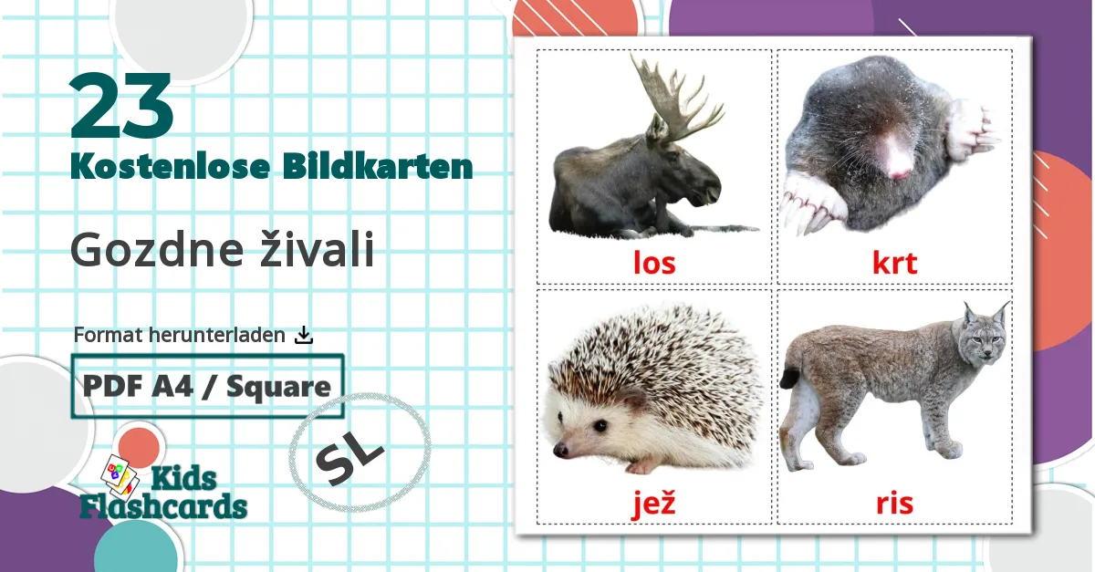 23 Bildkarten für Gozdne živali