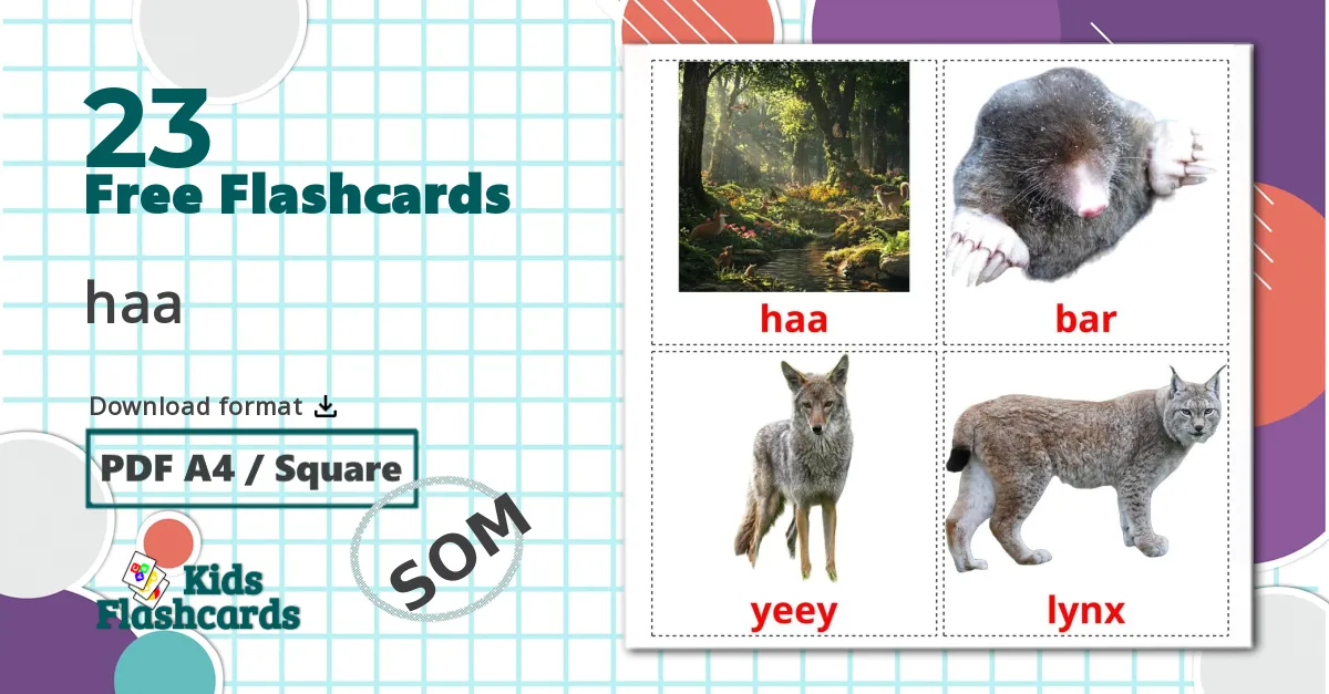 23 Forest animals flashcards
