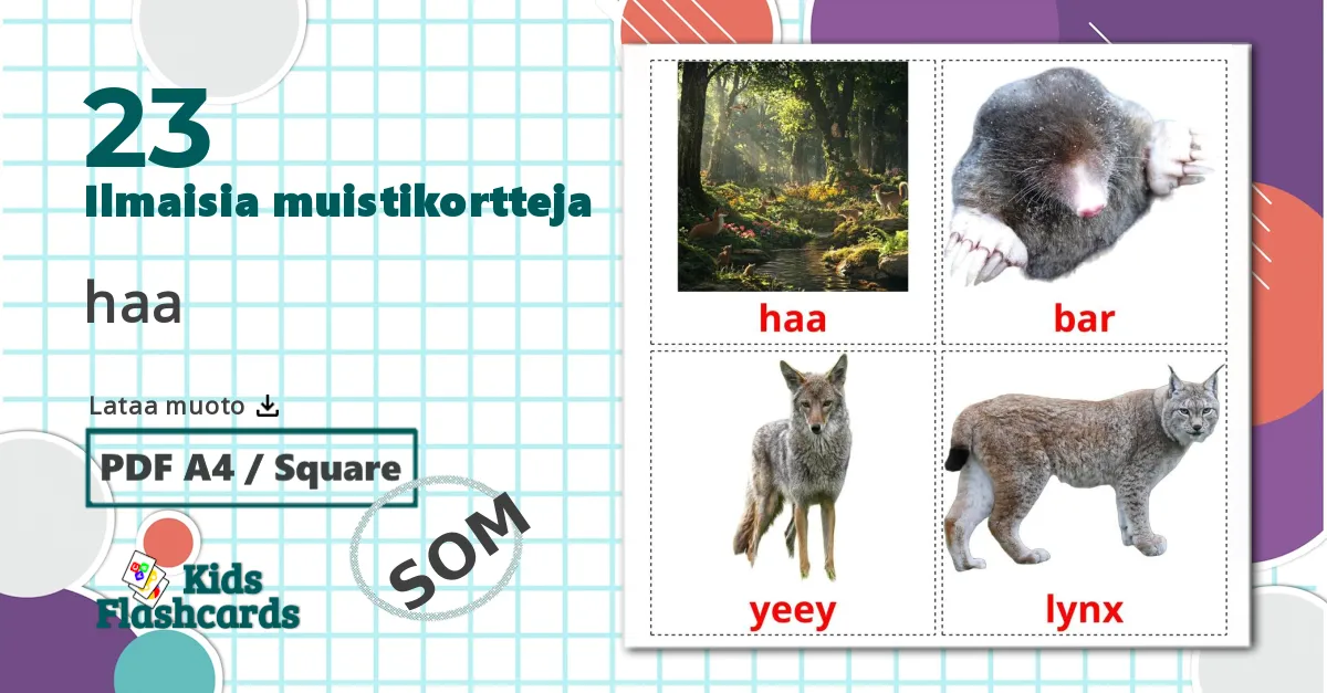 23 haa lasten kuvakortit
