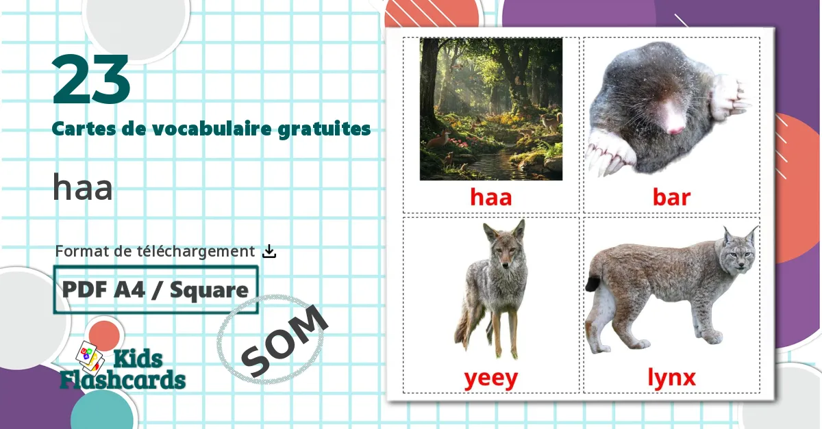 23 Imagiers Les Animaux de la Forêt