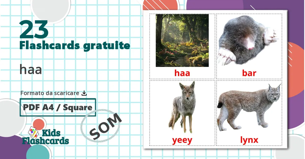 23 flashcards di Animali della foresta