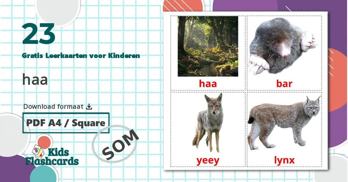 23 Bosdieren Leerkaarten voor kinderen