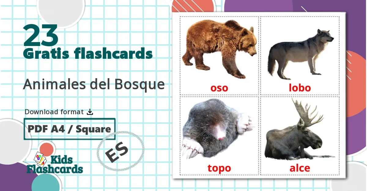 23 Animales del Bosque billedkort for børn