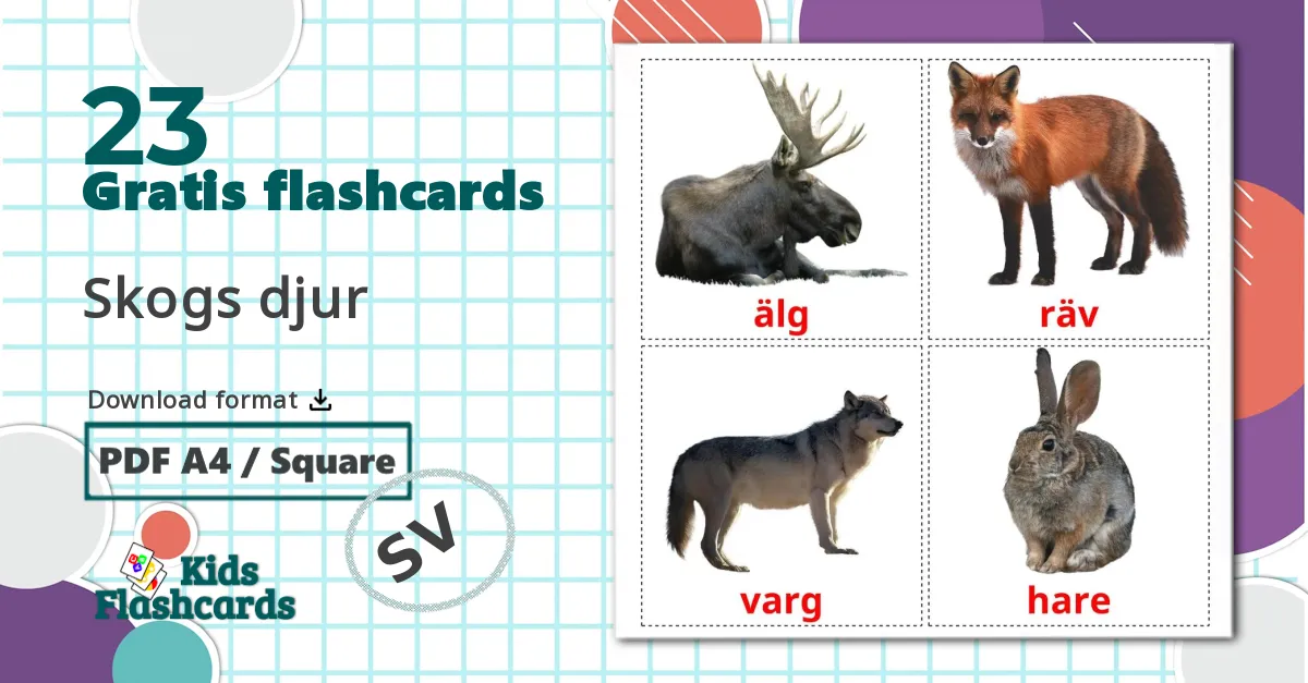 23 Skogs djur billedkort for børn