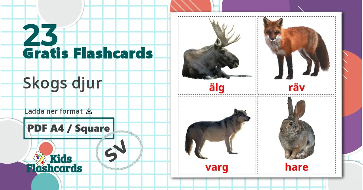 23 Skogs djur bildkort för barn