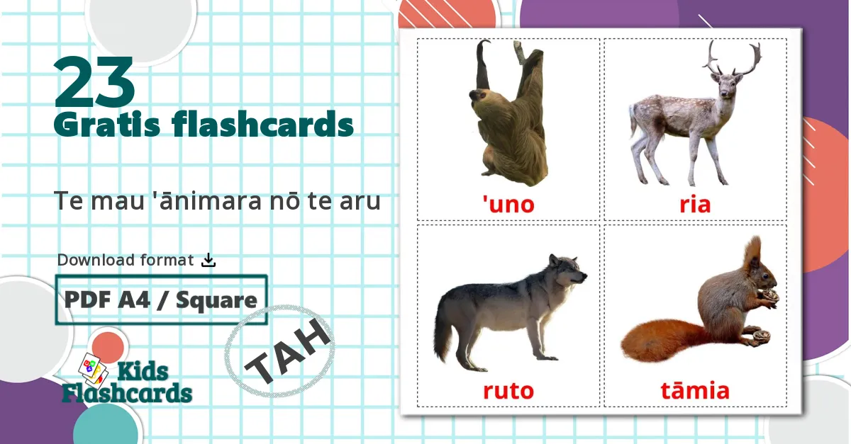 23 Te mau 'ānimara nō te aru billedkort for børn
