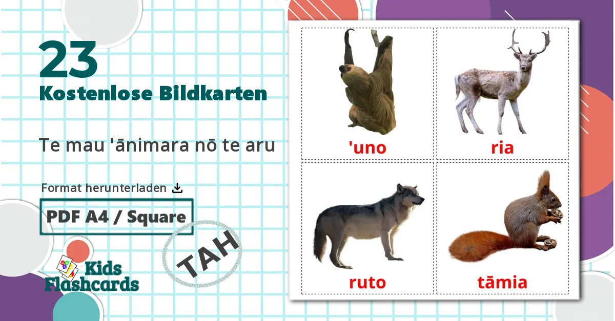 23 Bildkarten für Te mau 'ānimara nō te aru