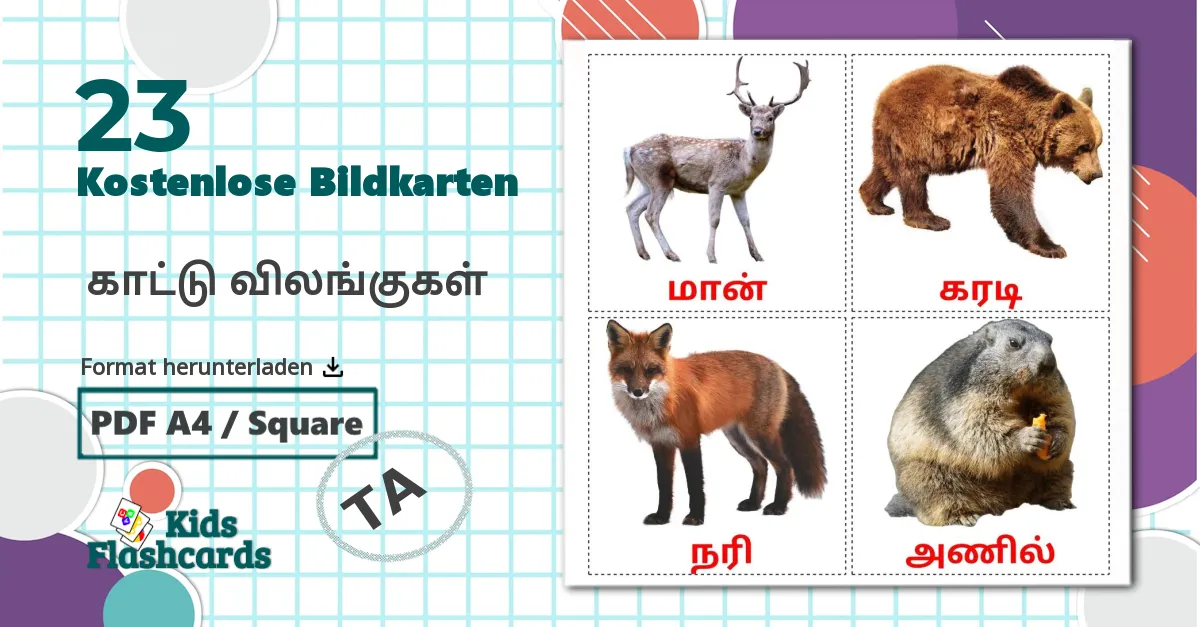 23 Bildkarten für ​ ​காட்டு விலங்குகள்