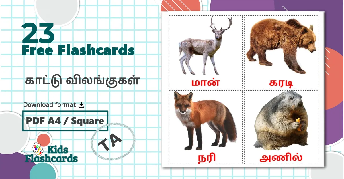 23 Forest animals flashcards