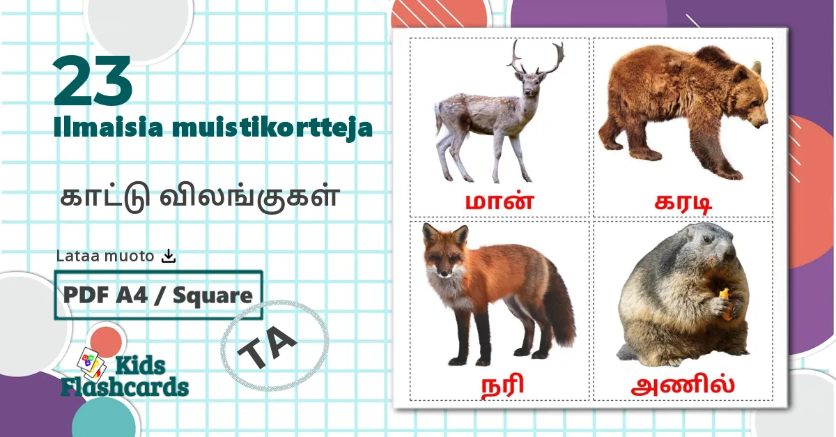 23 ​ ​காட்டு விலங்குகள்  lasten kuvakortit