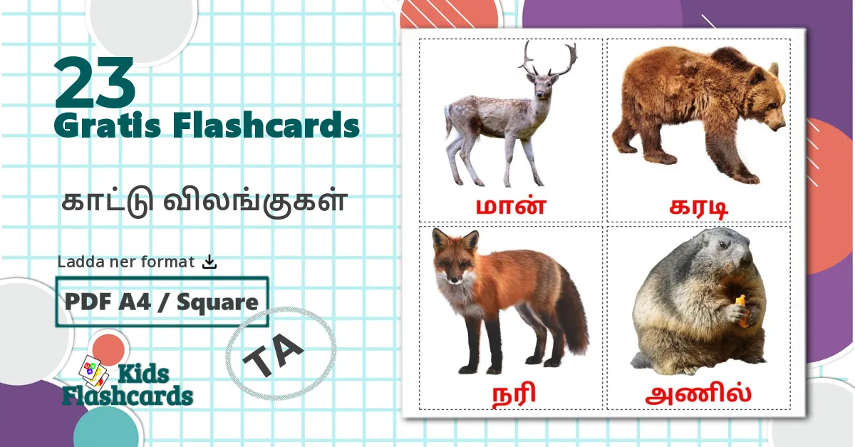 23 ​ ​காட்டு விலங்குகள்  bildkort för barn