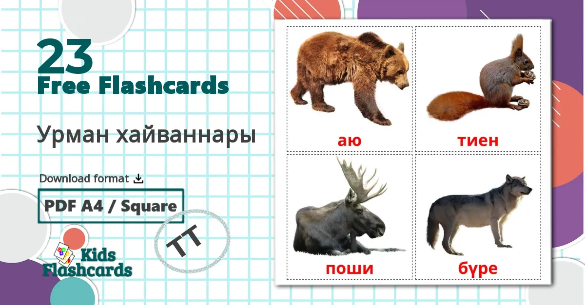 23 Урман хайваннары flashcards