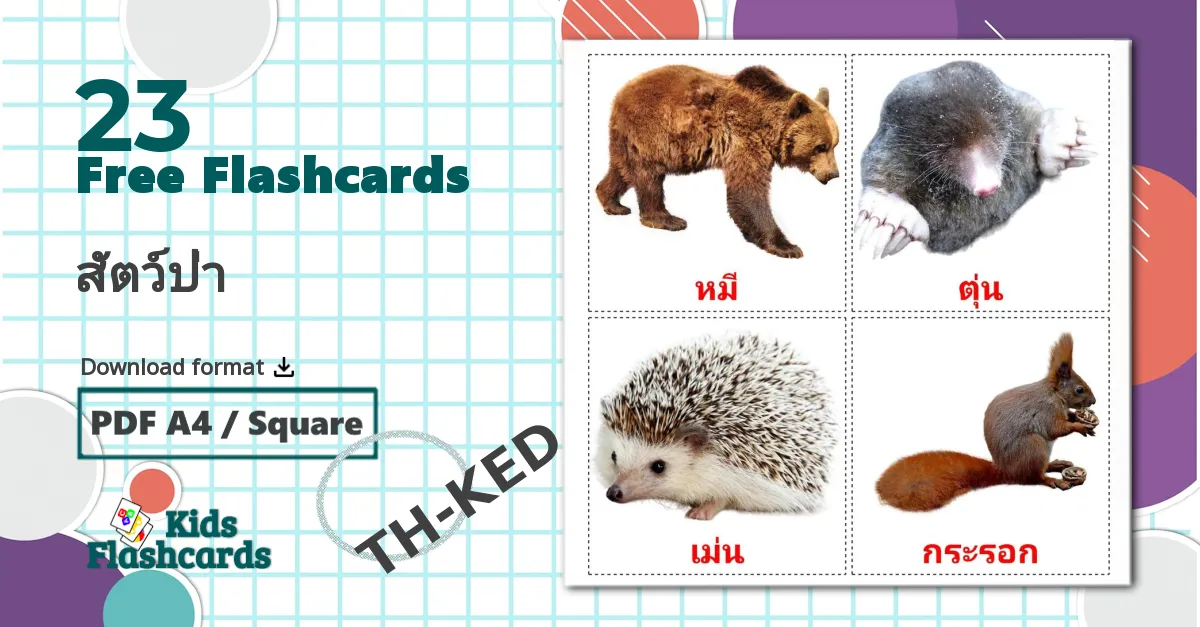 23 สัตว์ป่า flashcards