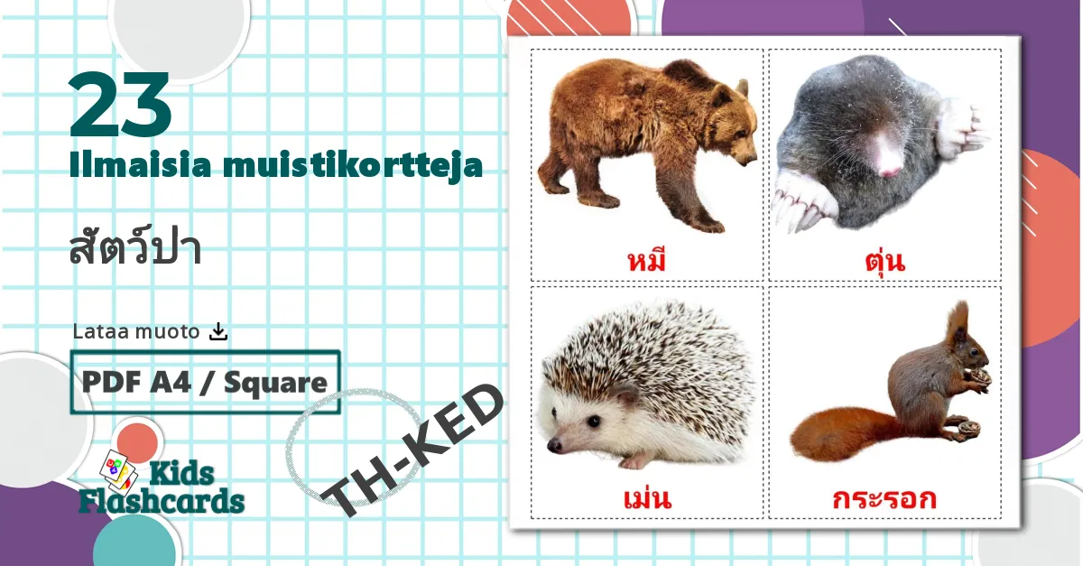 17 Vaiheet lasten kuvakortit