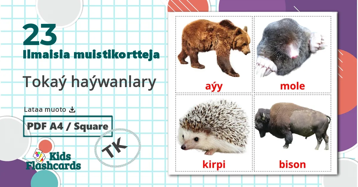 23 Tokaý haýwanlary lasten kuvakortit