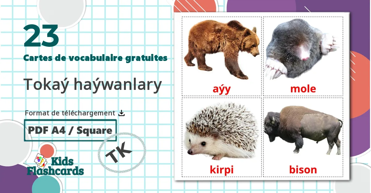 23 Imagiers Tokaý haýwanlary