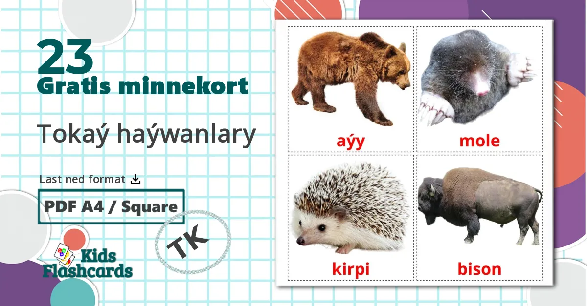 23 Tokaý haýwanlary bildekort