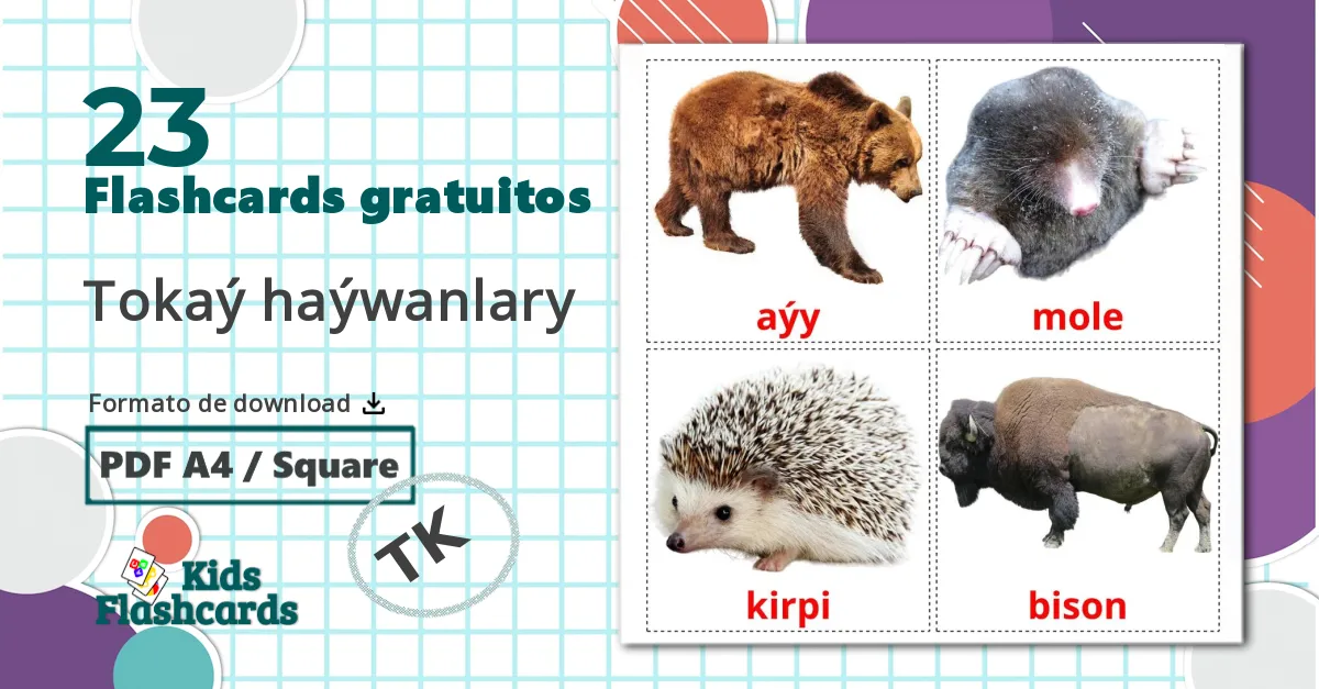23 Flashcards de Tokaý haýwanlary