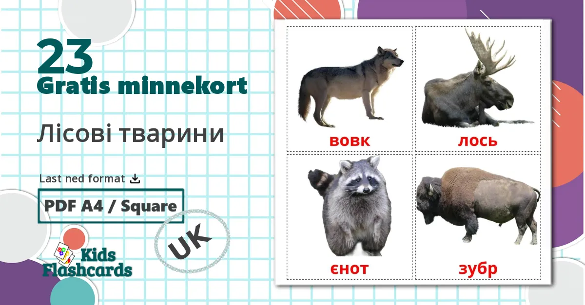 23 Лісові тварини bildekort