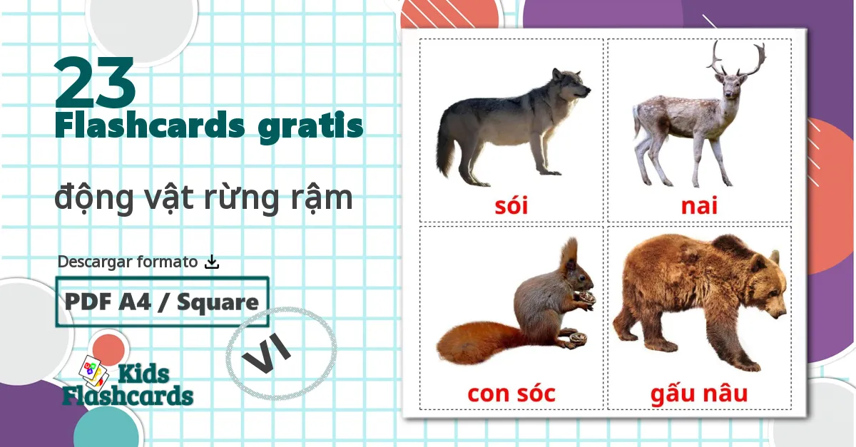 23 tarjetas didacticas de Animales del Bosque