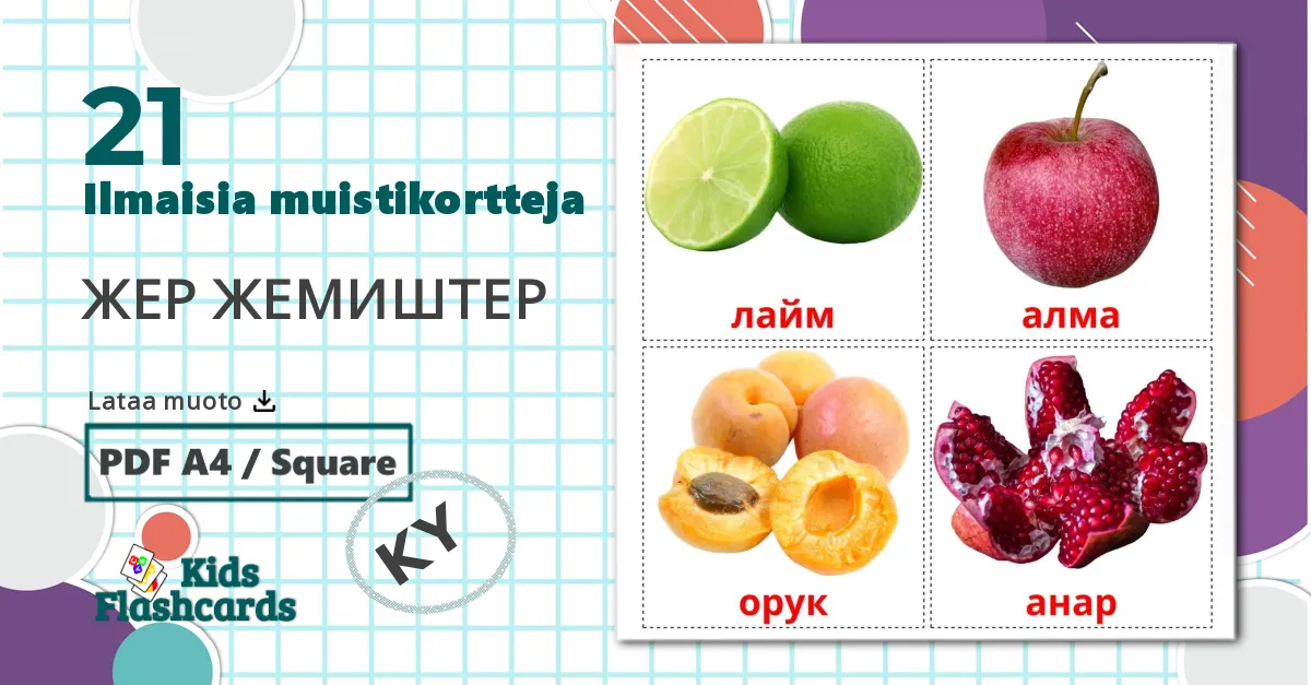 21 ЖЕР ЖЕМИШТЕР  lasten kuvakortit