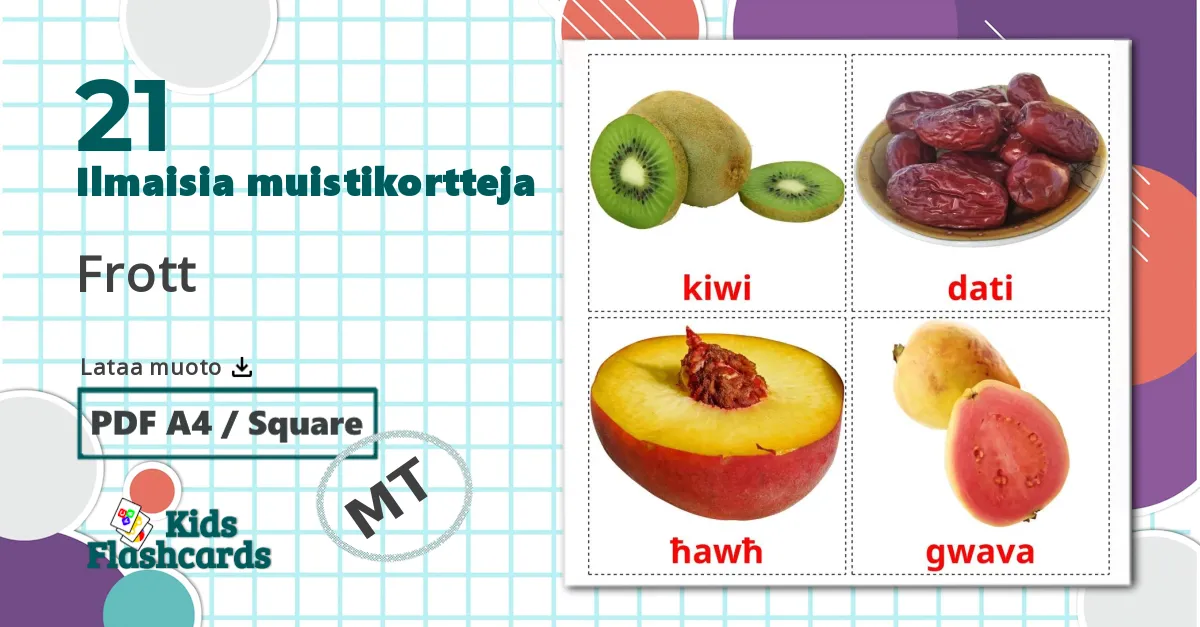 21 Frott lasten kuvakortit