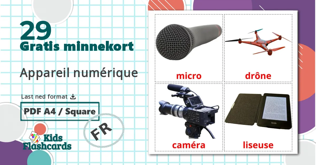 29 Appareil numérique bildekort