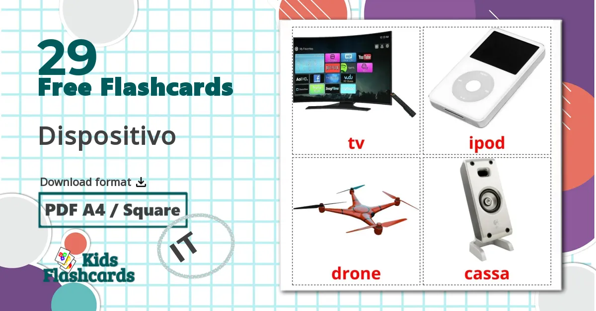 29 Dispositivo flashcards