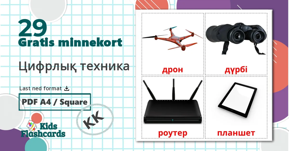 29 Цифрлық техника bildekort