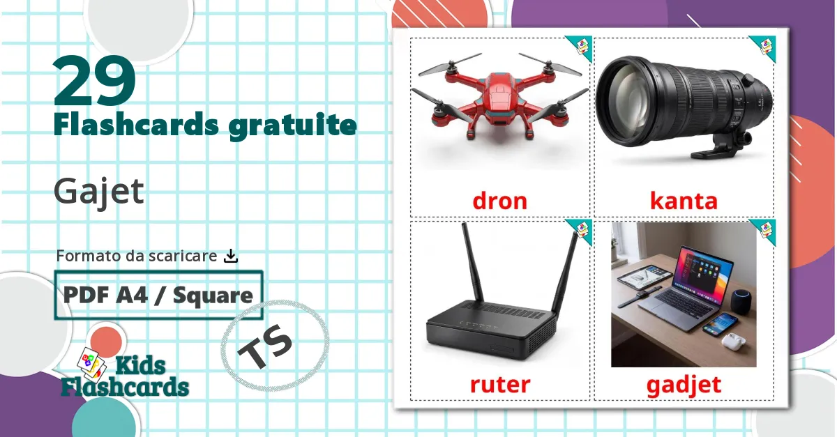 29 flashcards di Dispositivo