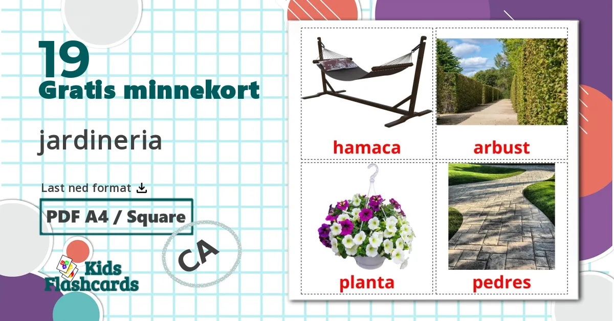 19 flashcards di Hage