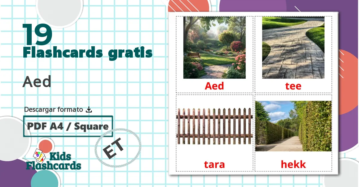 19 tarjetas didacticas de Aed