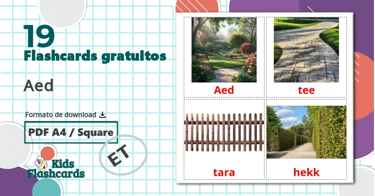 19 Flashcards de Aed