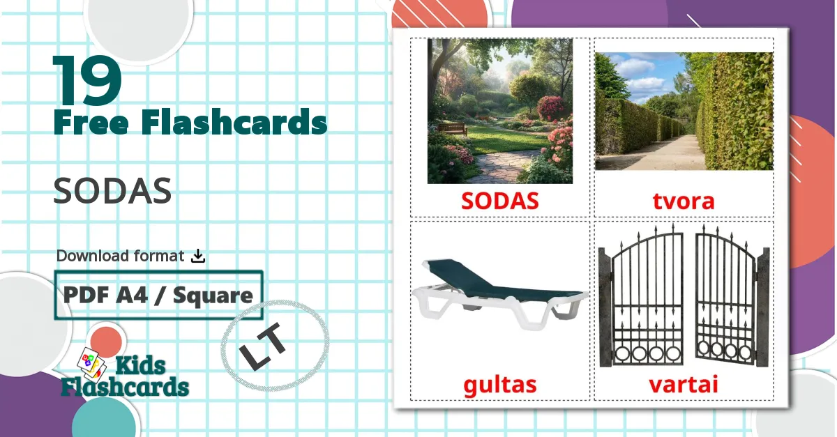 19 SODAS flashcards