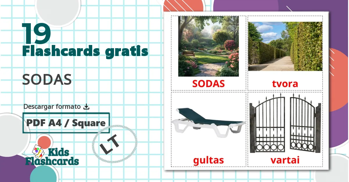 19 tarjetas didacticas de SODAS