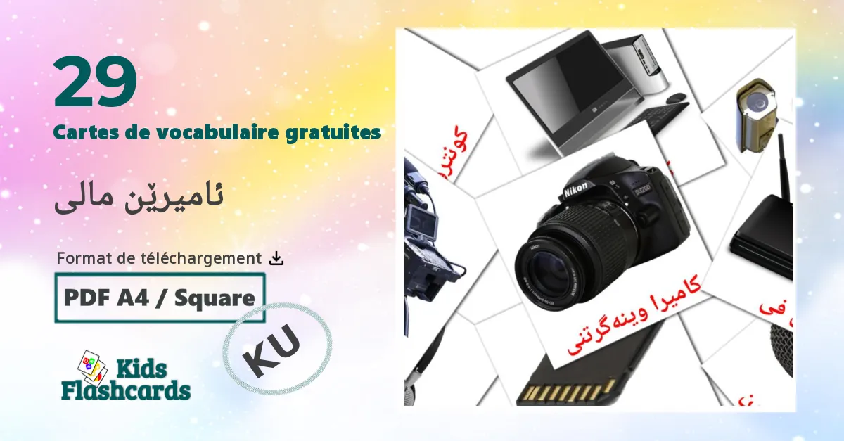 29 Imagiers ئامیرێن مالی