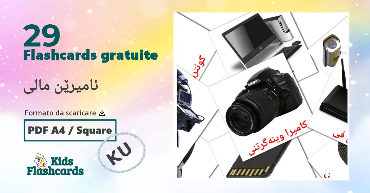 29 flashcards di ئامیرێن مالی