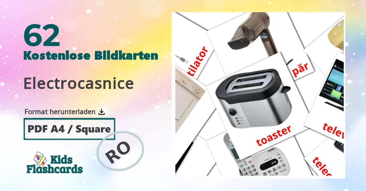 62 Bildkarten für Electrocasnice