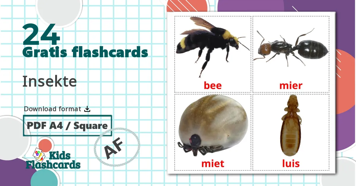 Insects - afrikaans ordforrådskort