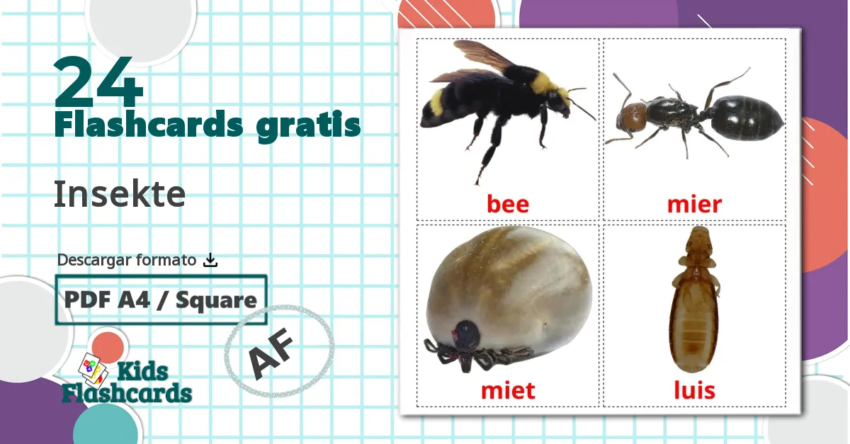 Insectos - tarjetas de vocabulario en afrikáans