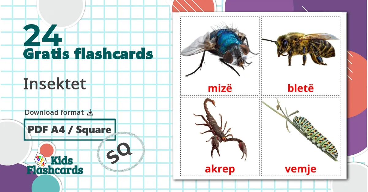 24 Insektet billedkort for børn